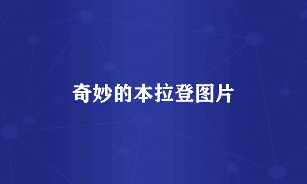 奇妙的本拉登图片