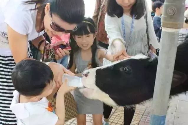 深圳有哪些好玩不贵的地方?