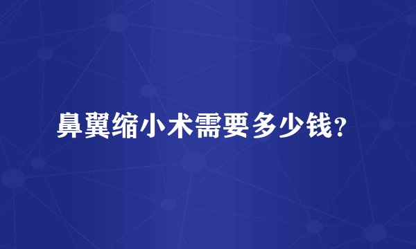 鼻翼缩小术需要多少钱？