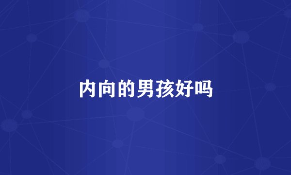内向的男孩好吗