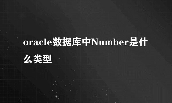 oracle数据库中Number是什么类型