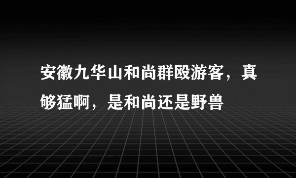 安徽九华山和尚群殴游客，真够猛啊，是和尚还是野兽