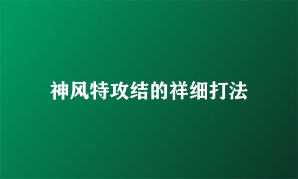神风特攻结的祥细打法