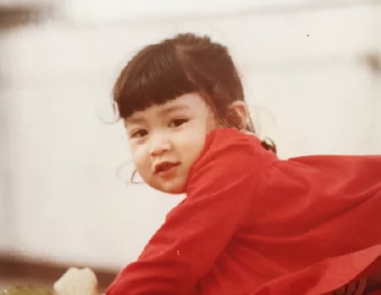 从撞脸刘嘉玲成名,“不老女神”佘诗曼成为TVB一姐有多心酸?