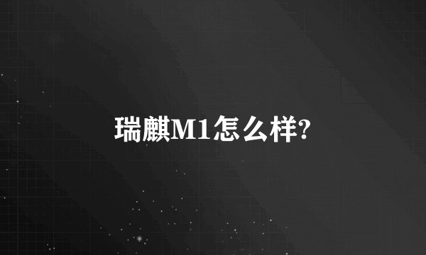 瑞麒M1怎么样?