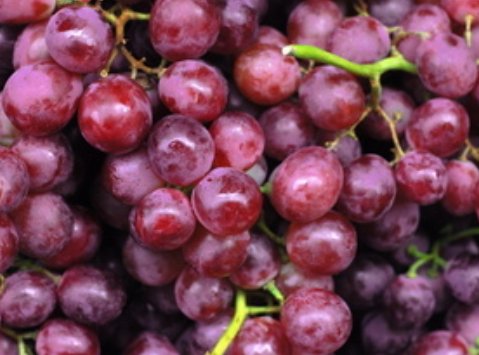 体内吸入甲醛了，怎么排毒和处理