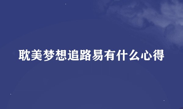 耽美梦想追路易有什么心得