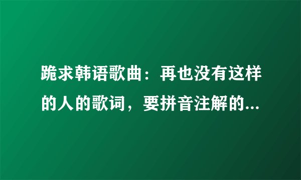 跪求韩语歌曲：再也没有这样的人的歌词，要拼音注解的，要完整版本的