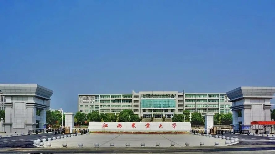 江西省大学排名