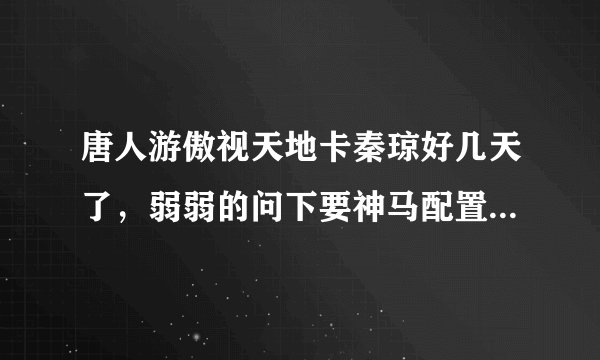 唐人游傲视天地卡秦琼好几天了，弱弱的问下要神马配置可以撸过？