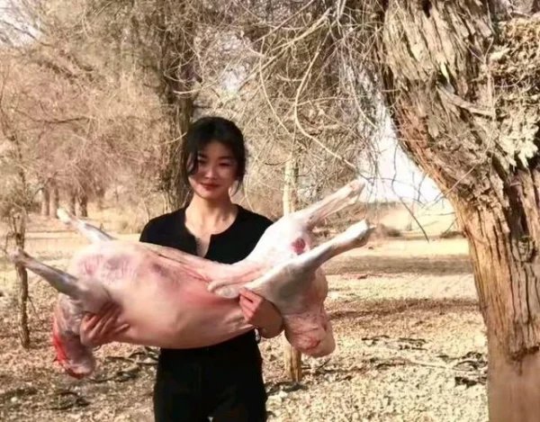 “荒漠屠夫”在网上流传,到底是什么梗?