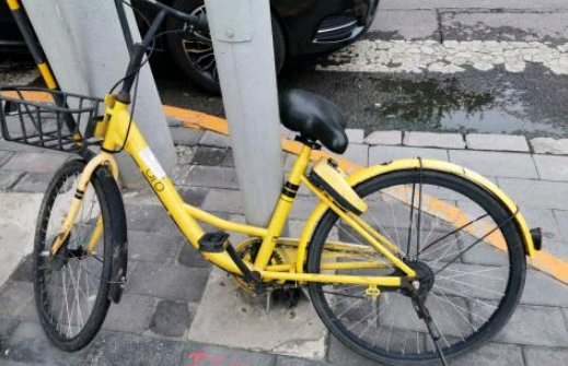 ofo押金退不了国家会管吗