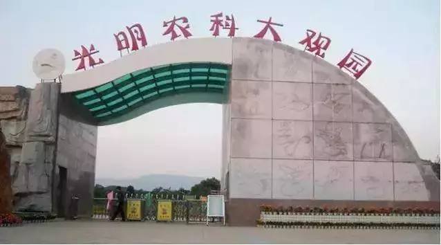 深圳有哪些好玩不贵的地方?