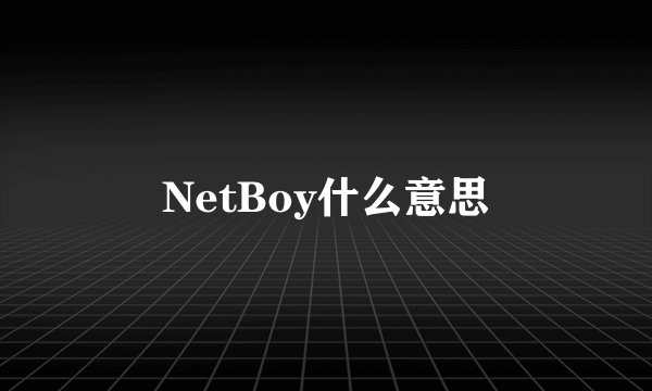 NetBoy什么意思