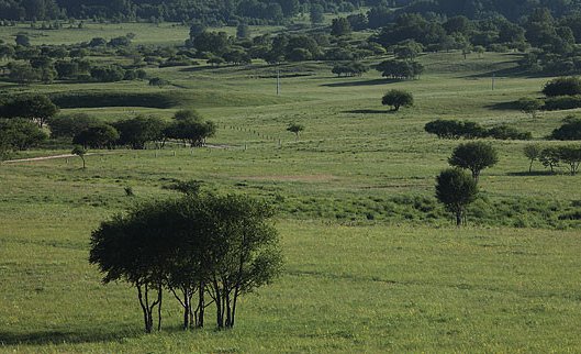 坝上草原9月份气温怎么样？应该穿什么？