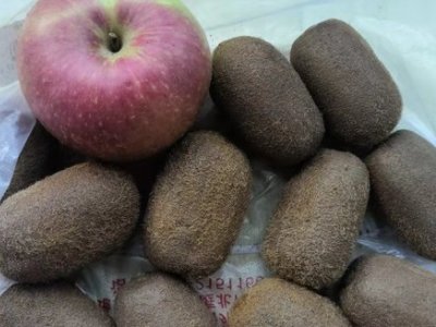 猕猴桃干怎么做