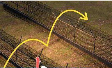 朝鲜运动员撑杆跳入韩国境内,该名男子被逮捕后有何诉求?