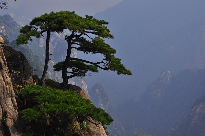 徽州指的是现在哪个城市/？