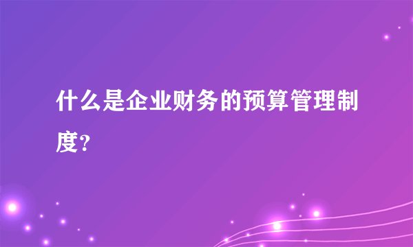 什么是企业财务的预算管理制度?
