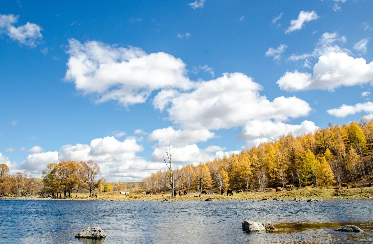 世上最抗冻的河流,零下40度不结冰,到底咋回事?