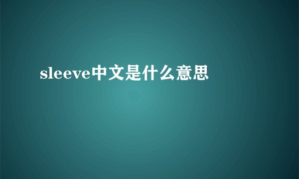 sleeve中文是什么意思