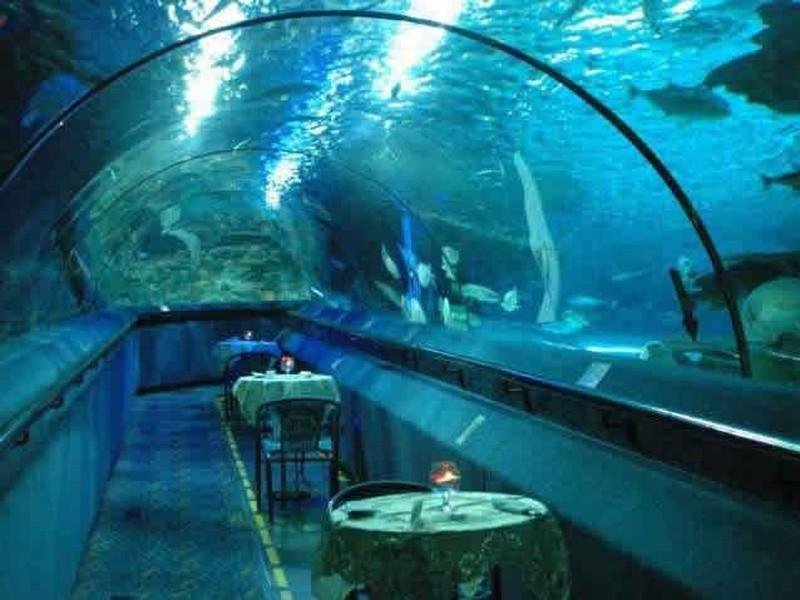 北京有几个海底世界!那个好?细节说说/