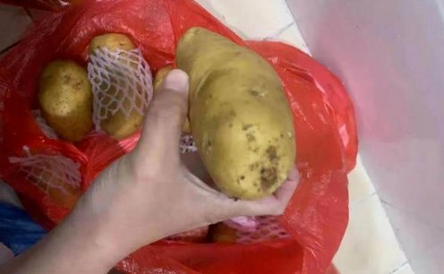 保定一幼儿园给孩子吃烂水果，幼儿园为何敢如此大胆？