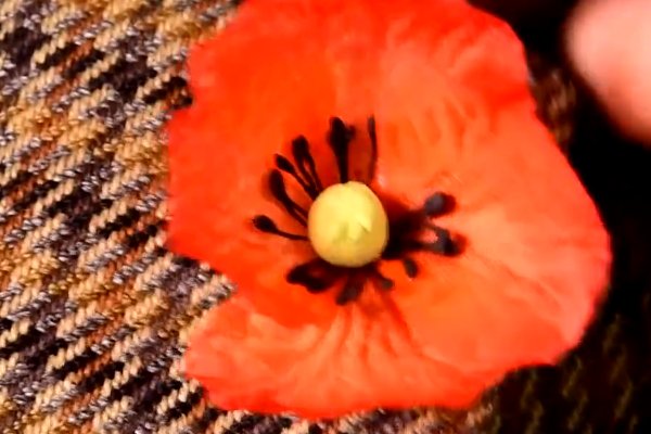 男士胸针怎么戴