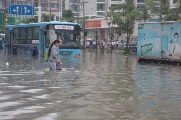 实拍四川暴雨：大鱼游上街头乱窜！此次暴雨是否会引发灾害？