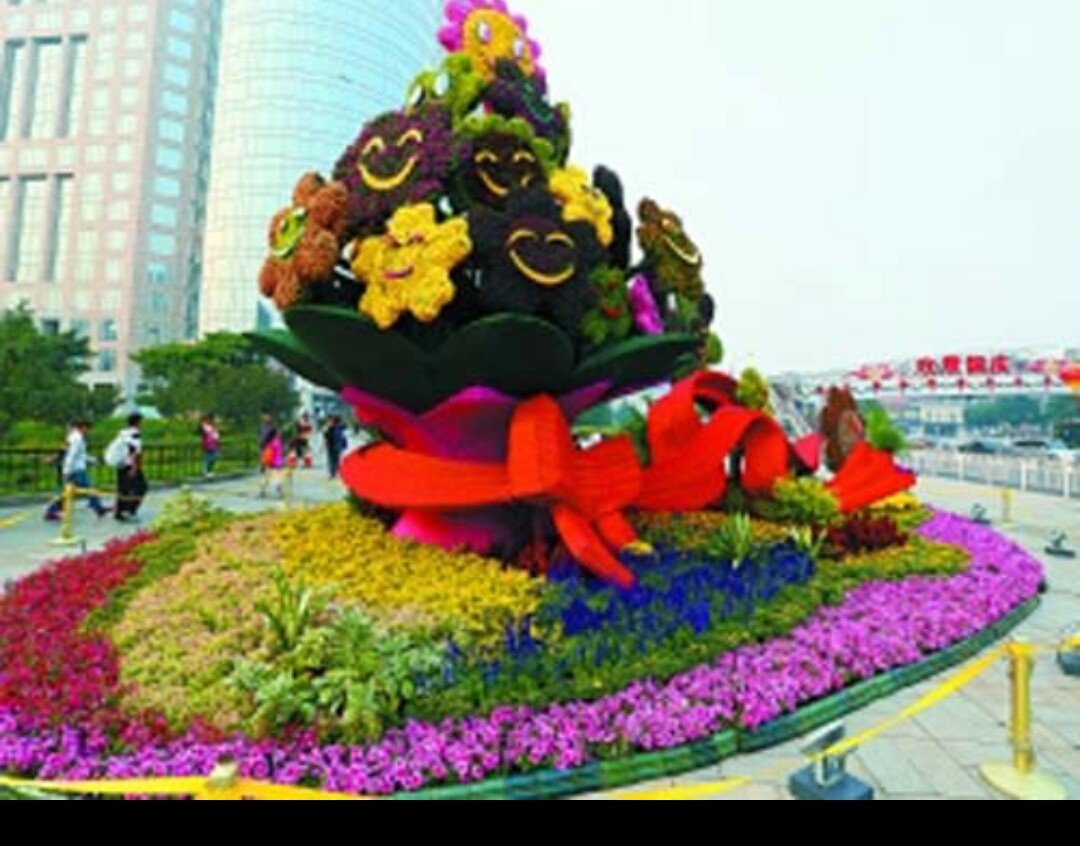 国庆节花坛常用花卉有哪些?
