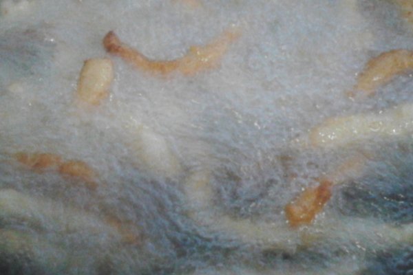 家常鸡柳的做法?