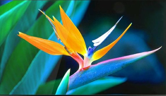 电视强行植入开机广告且不能关闭，乐视电视生产企业是被怎么判的？