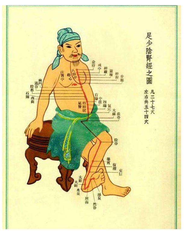 脚上六条连接五脏六腑的经络在哪