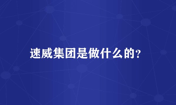 速威集团是做什么的？