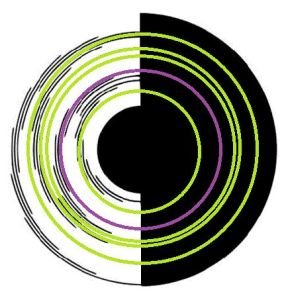 贝汉转盘的特点