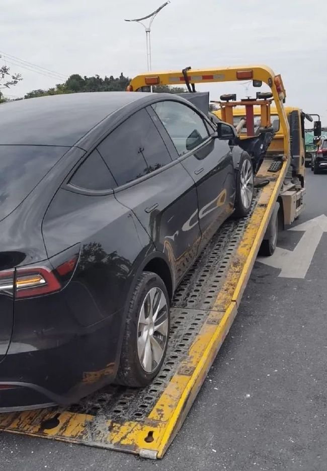 常州特斯拉坠河夫妻双双遇难，这对遇难夫妻在当地是从事什么行业的？