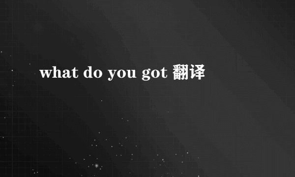 what do you got 翻译