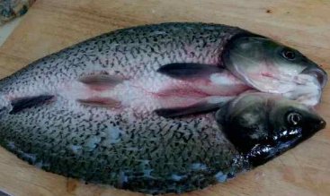 烤箱烤鱼的做法大全