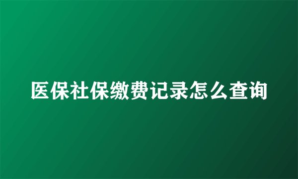 医保社保缴费记录怎么查询