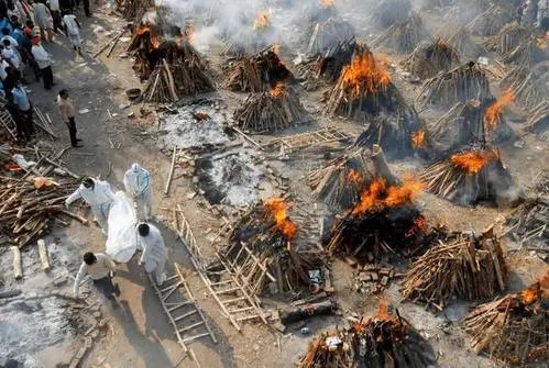 21车新冠死者骨灰拌上牛粪建公园，印度为何这么做？