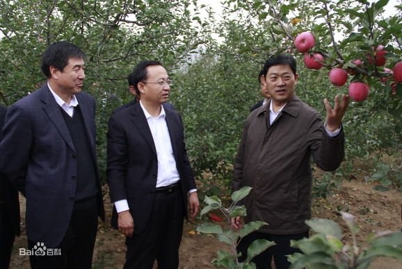 张应华的个人履历