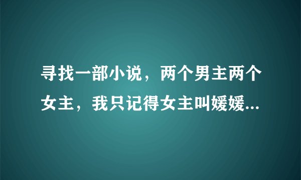 寻找一部小说，两个男主两个女主，我只记得女主叫媛媛和露丝，男主是打游戏时穿越的