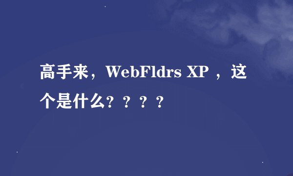 高手来，WebFldrs XP ，这个是什么？？？？