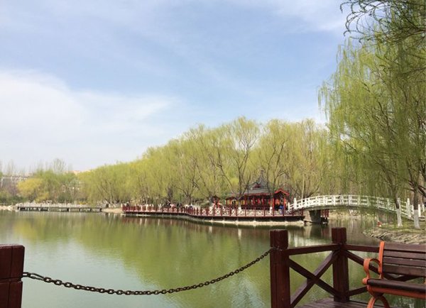 柳如烟是什么意思