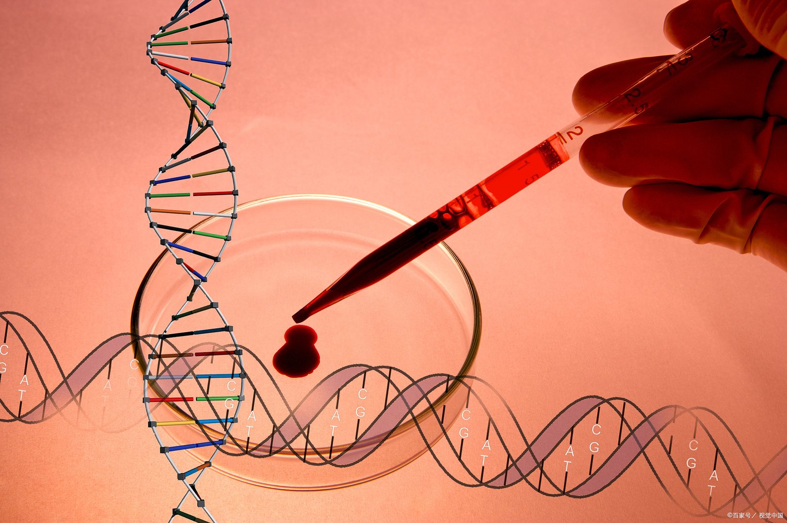 上海又一检测机构核酸准确性遭质疑,核算检测机构为何屡现问题?