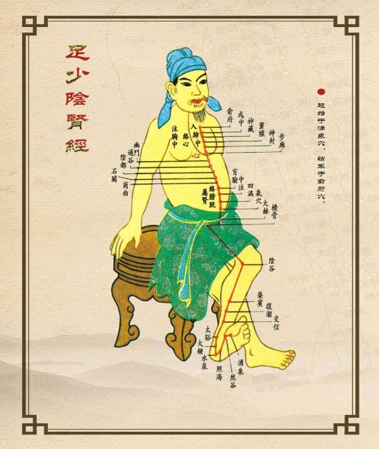 脚上六条连接五脏六腑的经络在哪