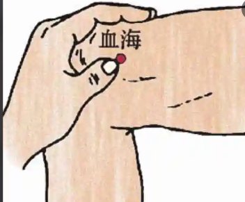 血海的位置在哪?它的作用和功效是什么?