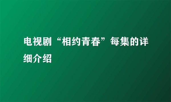 电视剧“相约青春”每集的详细介绍