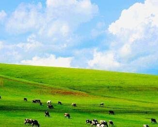 坝上草原9月份气温怎么样?应该穿什么?