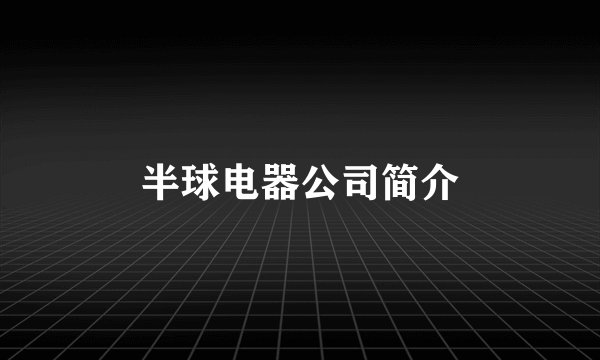 半球电器公司简介